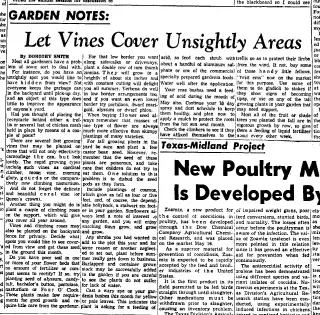 other Newspaper clipping from May 22, 1960 5807085