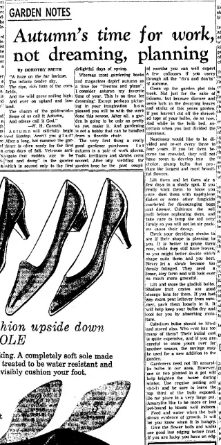 other Newspaper clipping from Sep 16, 1962 5807090
