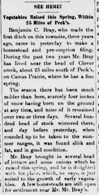 other Newspaper clipping from Mar 29, 1884 5811252