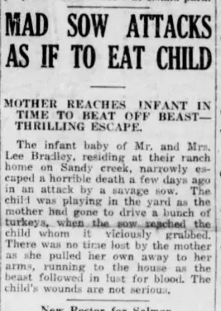other Newspaper clipping from Jul 28, 1922 5811678