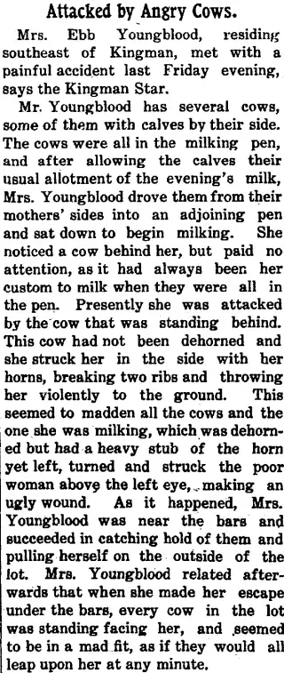 other Newspaper clipping from Jun 11, 1910 5812473