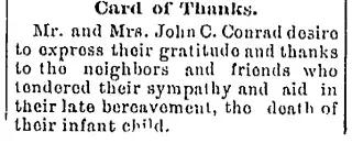other Newspaper clipping from Aug 8, 1894 5812575