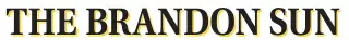 other Newspaper clipping from Apr 11, 2025 5813275