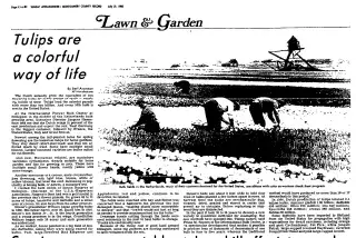 other Newspaper clipping from Jul 21, 1985 5814766