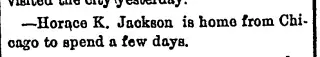 other Newspaper clipping from Jul 28, 1895 5814804