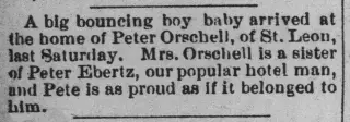 other Newspaper clipping from Sep 28, 1893 5815279