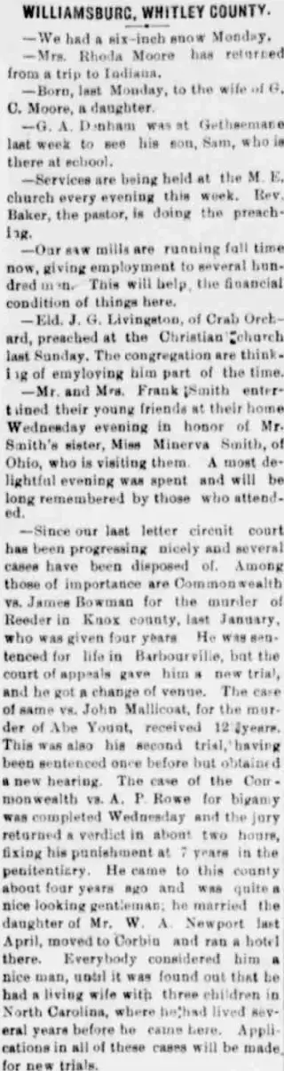 other Newspaper clipping from Feb 1, 1895 5818549