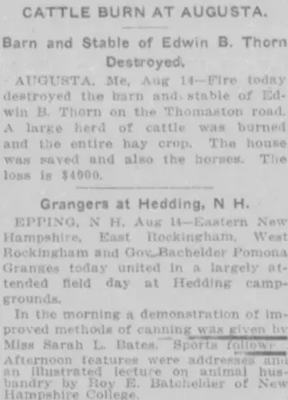 other Newspaper clipping from Aug 15, 1915 5820050