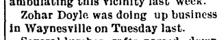 other Newspaper clipping from Jun 6, 1896 5824377