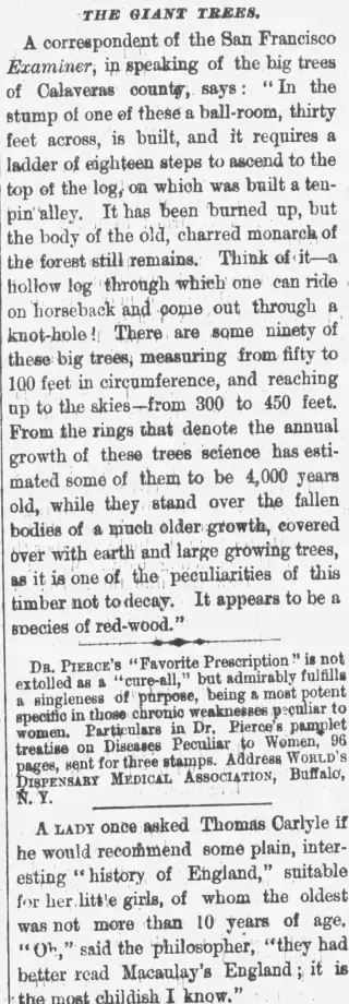other Newspaper clipping from Jan 4, 1882 5824464