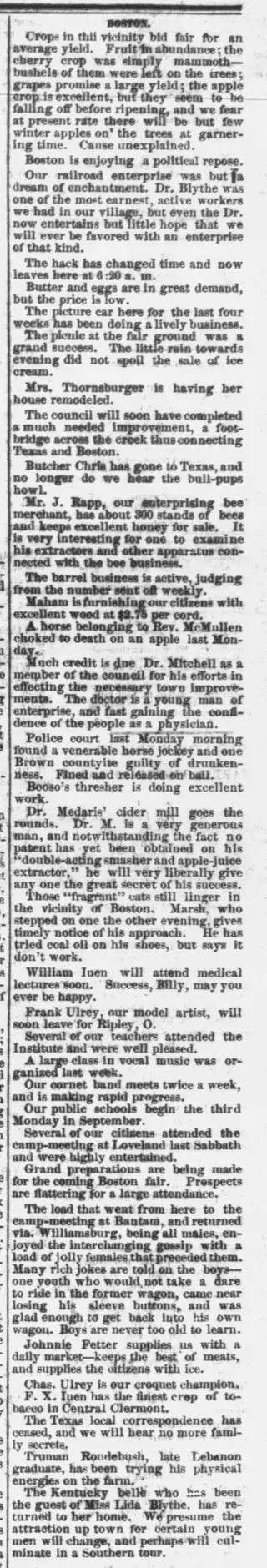 other Newspaper clipping from Aug 21, 1878 5824998