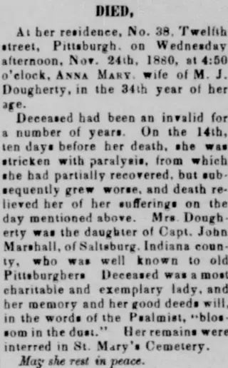 other Newspaper clipping from Dec 11, 1880 5825246