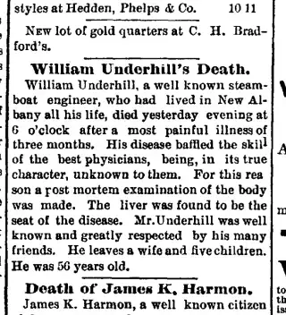 other Newspaper clipping from Jun 11, 1881 5827061