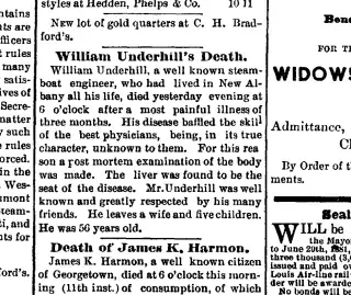 other Newspaper clipping from Jun 11, 1881 5827065
