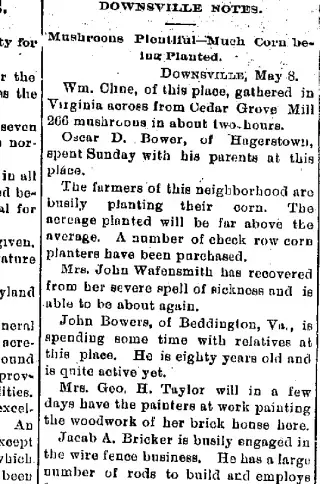 other Newspaper clipping from May 9, 1895 5827604