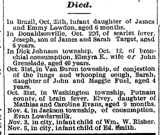 other Newspaper clipping from Nov 7, 1878 5827916