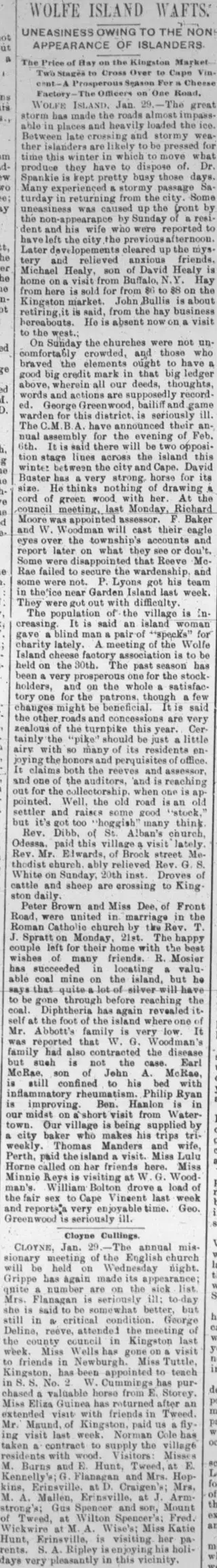 other Newspaper clipping from Jan 31, 1895 5828731