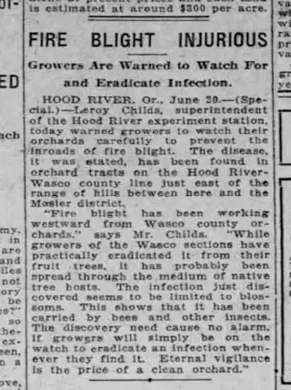 other Newspaper clipping from Jun 21, 1920 5831958