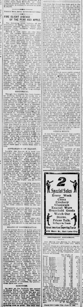 other Newspaper clipping from Jun 18, 1904 5831993