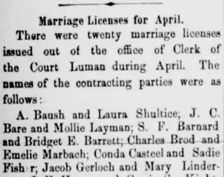 other Newspaper clipping from May 7, 1882 5833045
