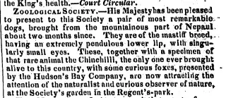 other Newspaper clipping from Nov 15, 1828 5833290