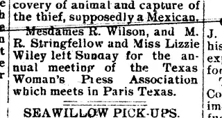 other Newspaper clipping from Jun 6, 1901 5835448