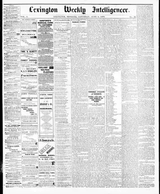 other Newspaper clipping from Jun 8, 1878 5836929