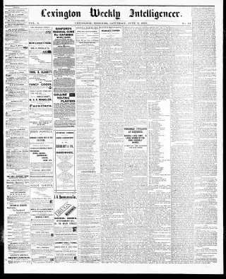 other Newspaper clipping from Jun 8, 1878 5836936