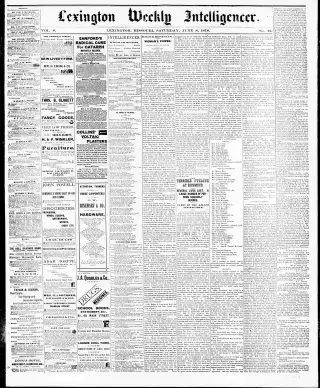 other Newspaper clipping from Jun 8, 1878 5836939