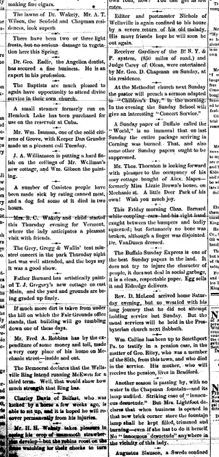 other Newspaper clipping from Jun 11, 1886 5837310