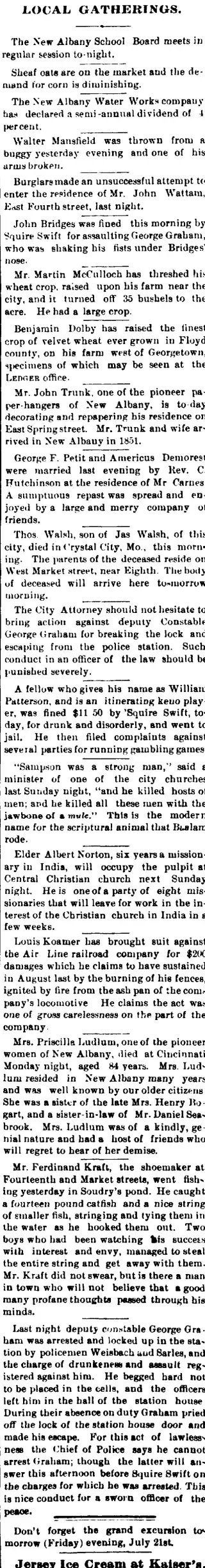 other Newspaper clipping from Jul 20, 1882 5849659