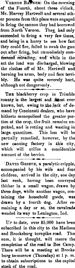 other Newspaper clipping from Jul 17, 1878 5852842