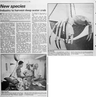 other Newspaper clipping from Aug 13, 1983 5858460