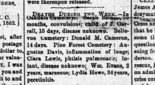 other Newspaper clipping from Jan 29, 1882 5860986