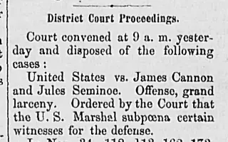 other Newspaper clipping from Jun 17, 1876 5861983