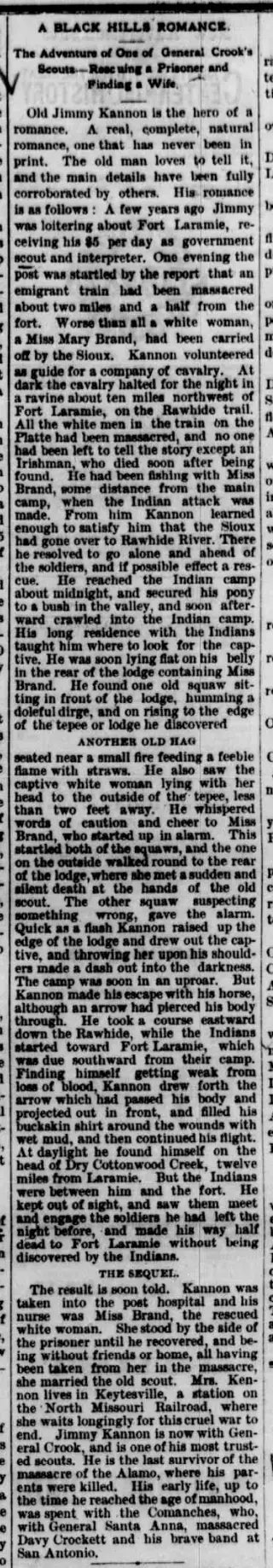 other Newspaper clipping from Jul 29, 1876 5862091
