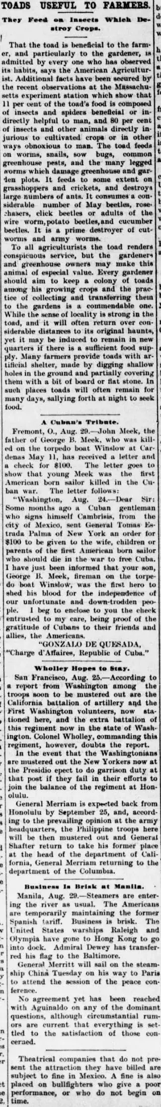 other Newspaper clipping from Sep 2, 1898 5863105