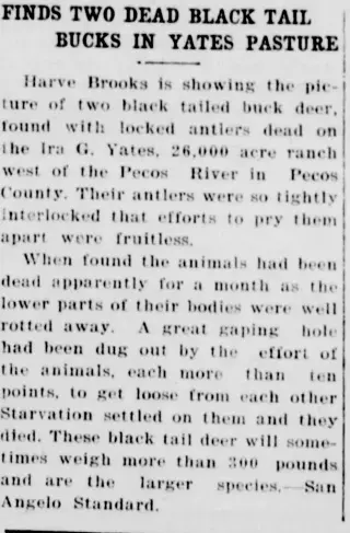 other Newspaper clipping from Dec 10, 1926 5863880