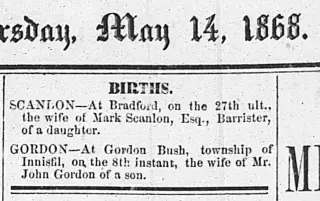 Birth Newspaper clipping from May 14, 1868 5865068