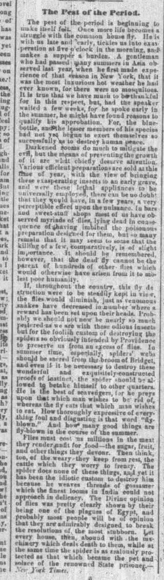 other Newspaper clipping from Jul 13, 1874 5867204