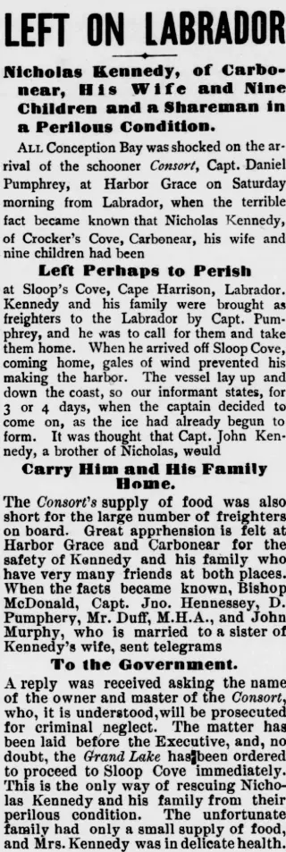 other Newspaper clipping from Nov 12, 1895 5867570