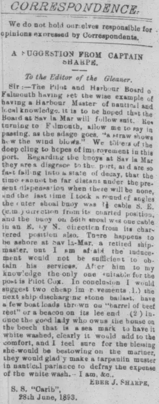 other Newspaper clipping from Aug 8, 1893 5870953