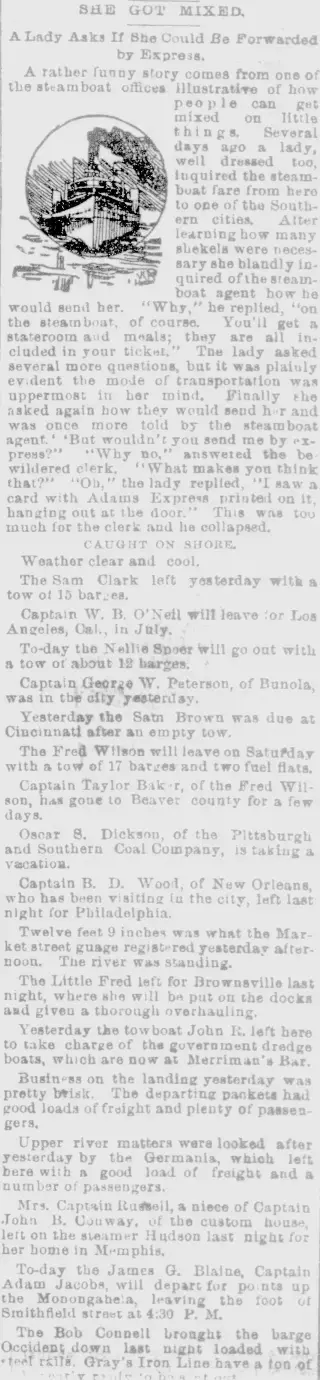 other Newspaper clipping from Jun 20, 1889 5871026
