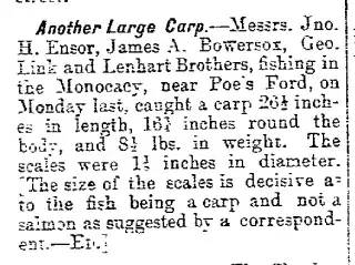 other Newspaper clipping from Jul 29, 1885 5871457