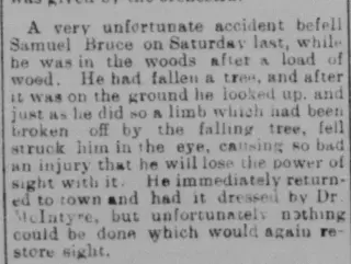 other Newspaper clipping from Feb 15, 1900 5872612