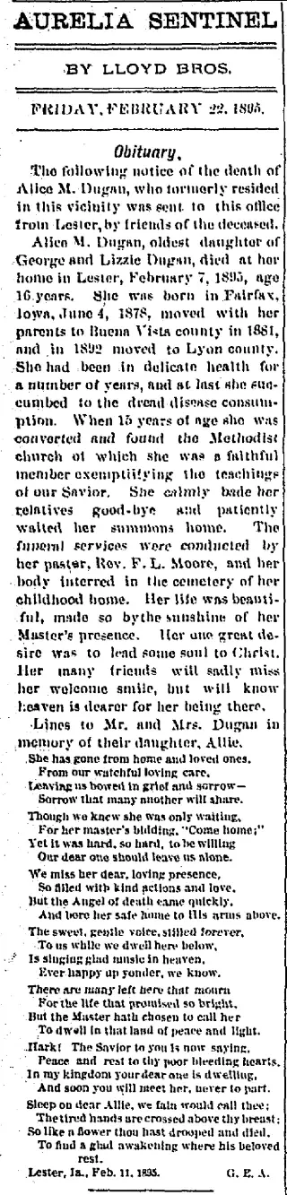 other Newspaper clipping from Feb 22, 1895 5874380