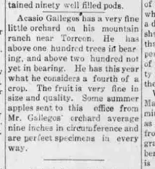 other Newspaper clipping from Aug 20, 1914 5876809