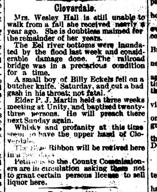 other Newspaper clipping from Nov 24, 1881 5877282