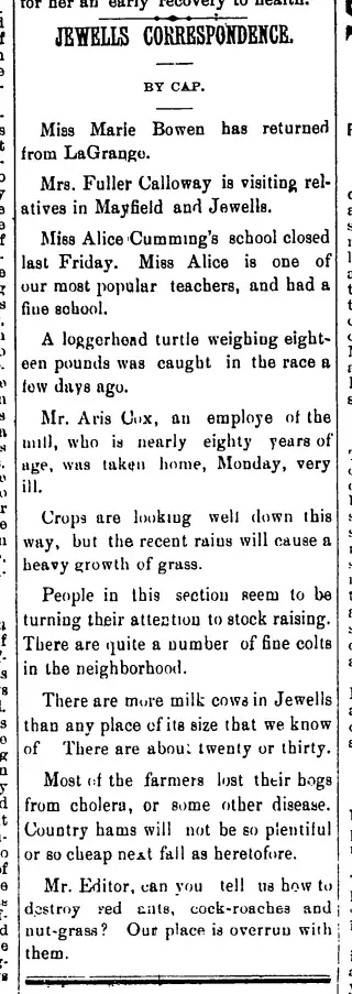 other Newspaper clipping from Jun 19, 1896 5879419