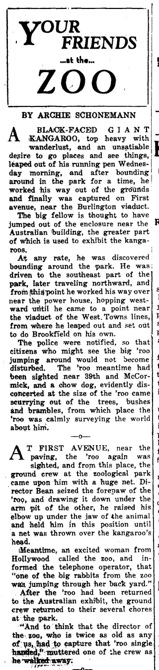 other Newspaper clipping from Nov 3, 1938 5880369